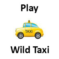 Wild Wild Taxi Racing, Crazy Taxi